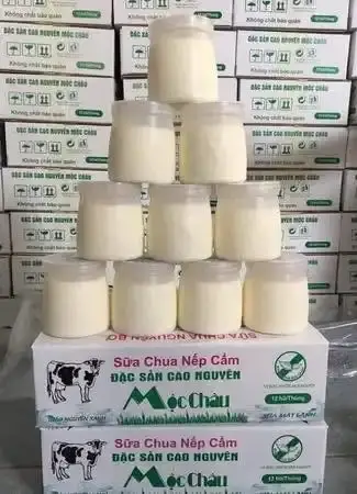 Hũ sữa chua Mộc Châu mát lạnh, món quà giải nhiệt không thể bỏ qua khi du lịch tháng 4.