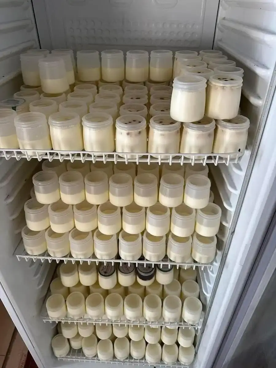 Dac-san-sua-chua-trai-cay-Moc-Chau-Han-Sua-Chua